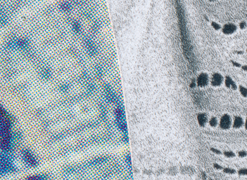 Eléonore False, Too far forward, 2017 (detail), © Eléonore False